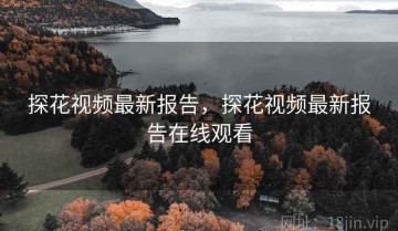 探花视频最新报告，探花视频最新报告在线观看