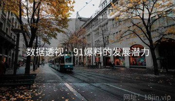 数据透视：91爆料的发展潜力
