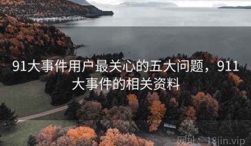 91大事件用户最关心的五大问题，911大事件的相关资料