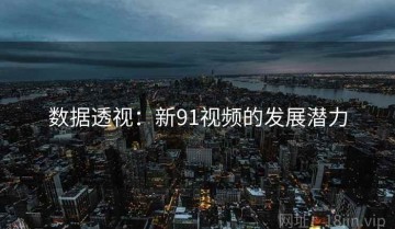 数据透视：新91视频的发展潜力