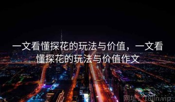 一文看懂探花的玩法与价值，一文看懂探花的玩法与价值作文