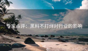 专家点评：黑料不打烊对行业的影响