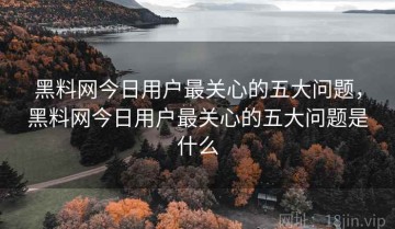 黑料网今日用户最关心的五大问题，黑料网今日用户最关心的五大问题是什么