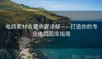 电鸽素材收藏步骤详解——打造你的专业电鸽图库指南