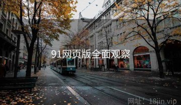 91网页版全面观察
