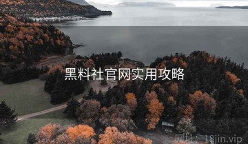 黑料社官网实用攻略