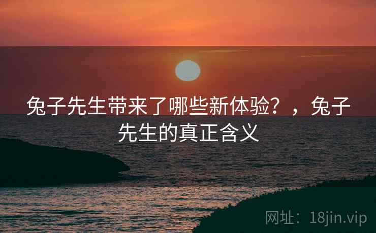 兔子先生带来了哪些新体验？，兔子先生的真正含义