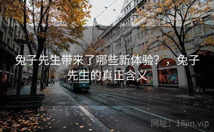 兔子先生带来了哪些新体验？，兔子先生的真正含义