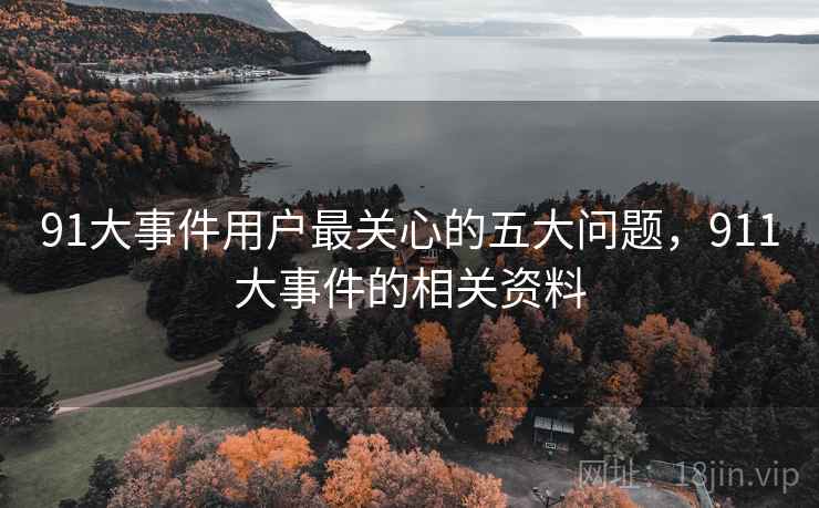 91大事件用户最关心的五大问题，911大事件的相关资料