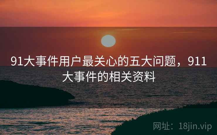 91大事件用户最关心的五大问题，911大事件的相关资料