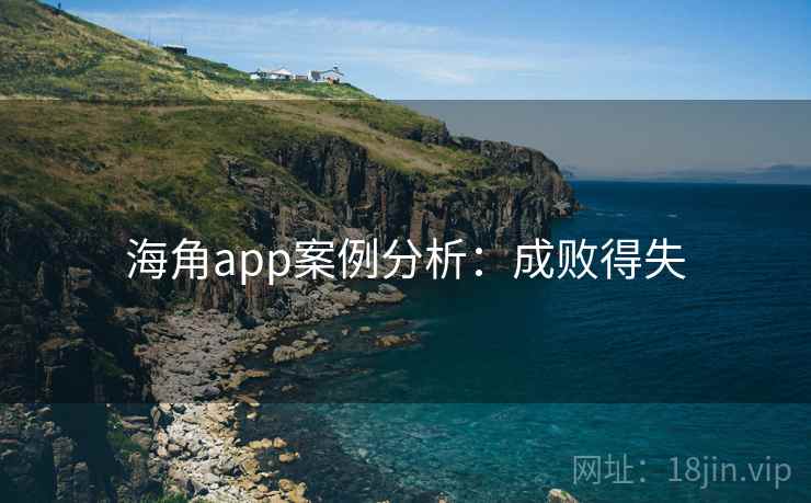 海角app案例分析：成败得失