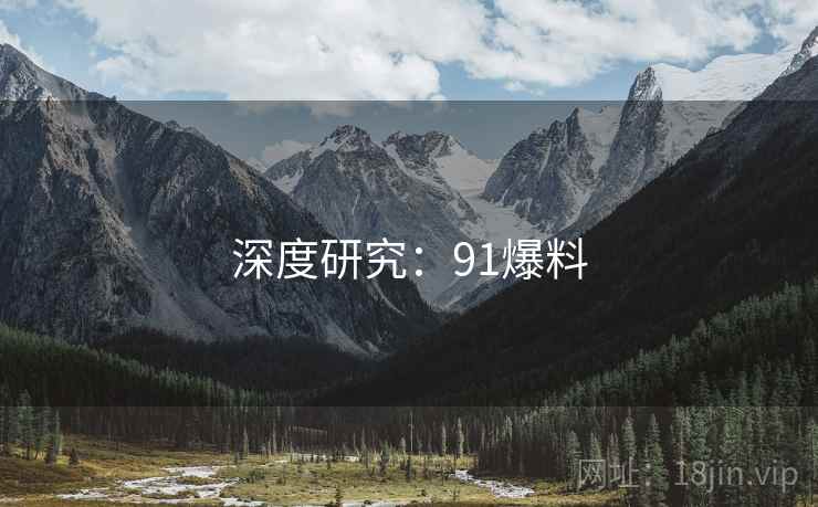 深度研究：91爆料