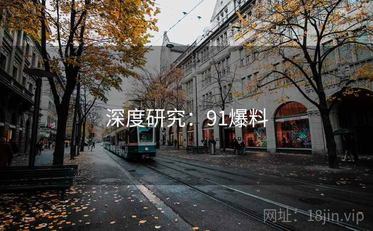 深度研究：91爆料