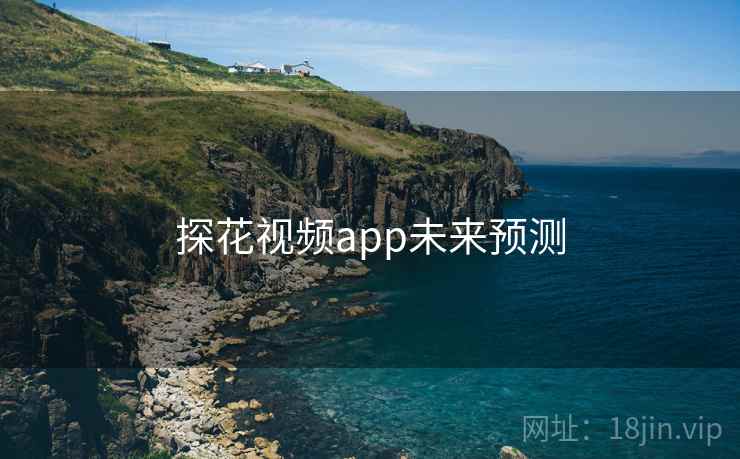 探花视频app未来预测
