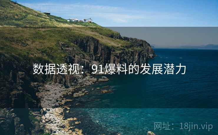 数据透视：91爆料的发展潜力