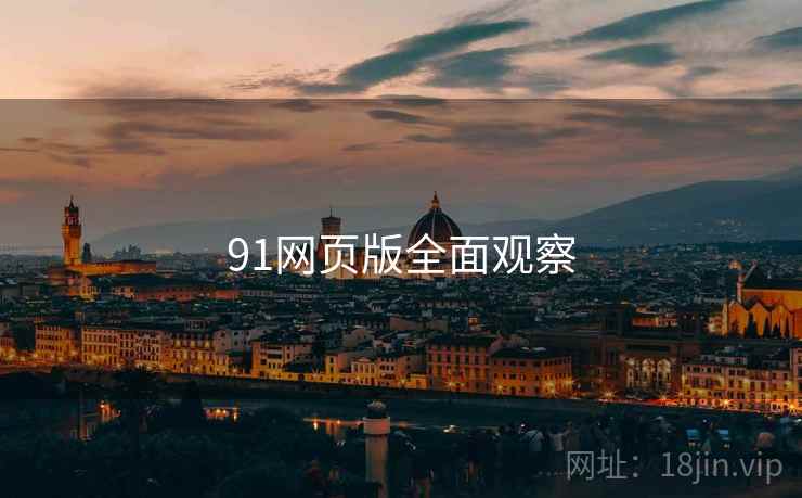 91网页版全面观察