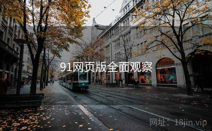 91网页版全面观察
