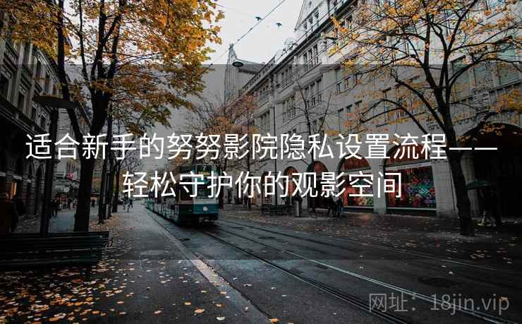 适合新手的努努影院隐私设置流程——轻松守护你的观影空间