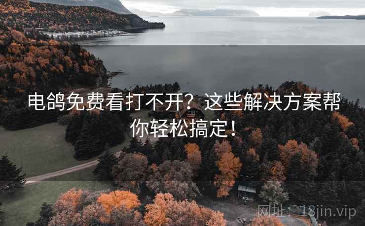电鸽免费看打不开？这些解决方案帮你轻松搞定！