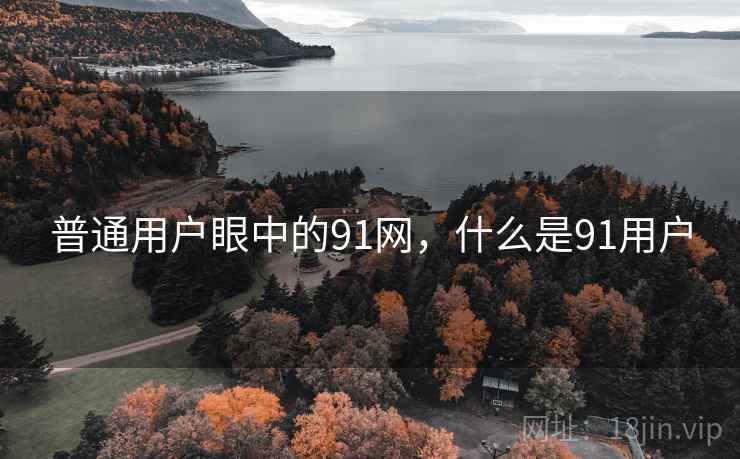 普通用户眼中的91网，什么是91用户