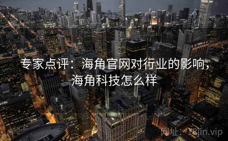 专家点评：海角官网对行业的影响，海角科技怎么样
