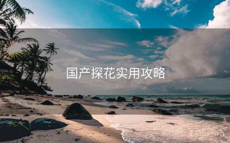 国产探花实用攻略