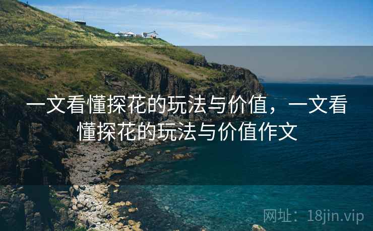 一文看懂探花的玩法与价值，一文看懂探花的玩法与价值作文