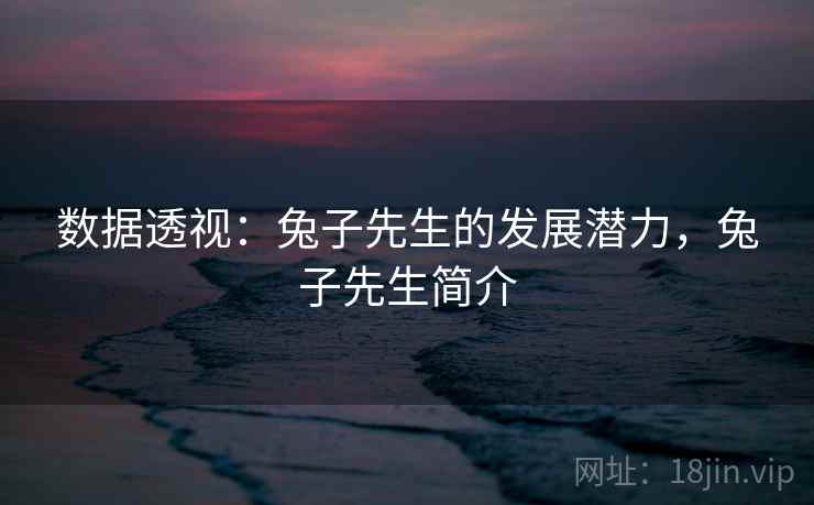 数据透视：兔子先生的发展潜力，兔子先生简介
