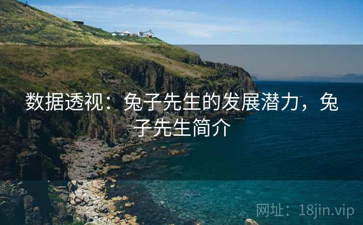 数据透视：兔子先生的发展潜力，兔子先生简介