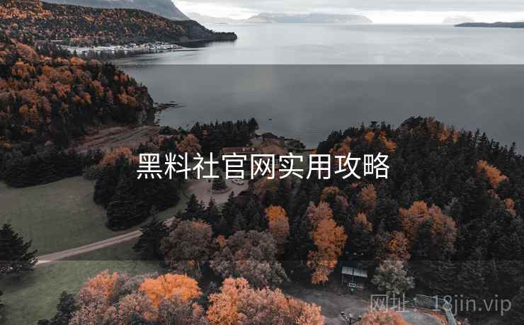 黑料社官网实用攻略