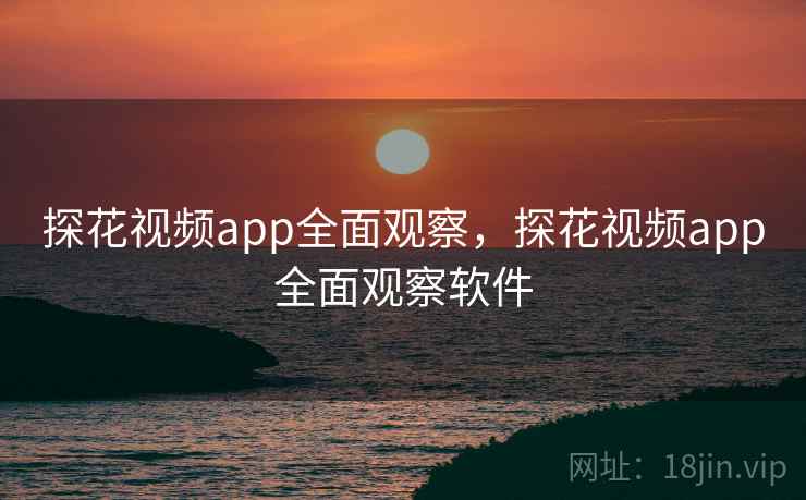 探花视频app全面观察，探花视频app全面观察软件