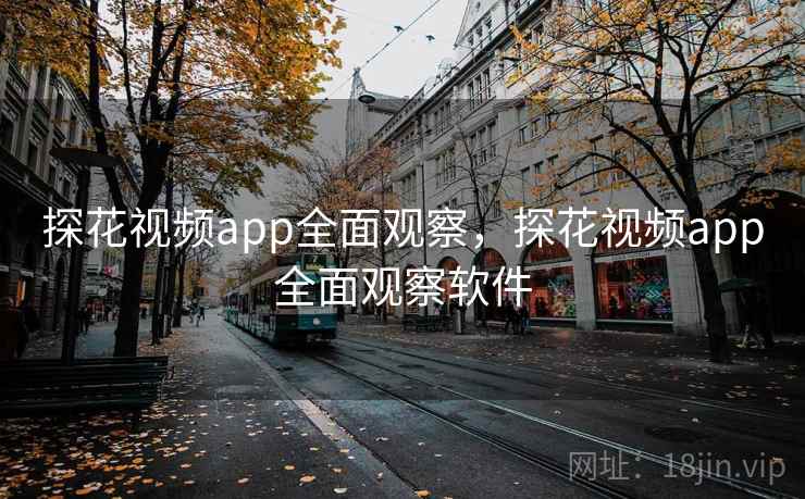 探花视频app全面观察，探花视频app全面观察软件