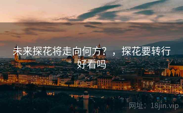 未来探花将走向何方？，探花要转行好看吗