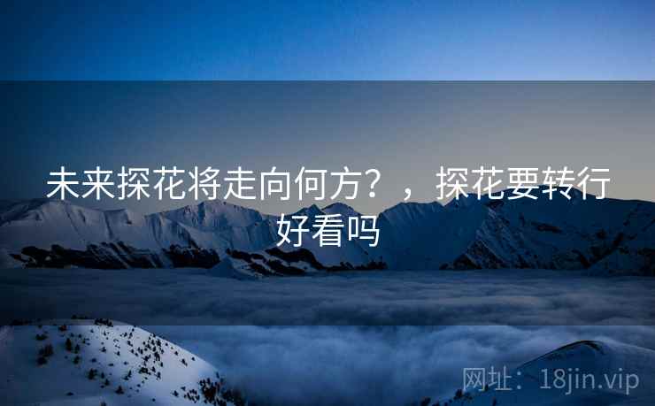 未来探花将走向何方？，探花要转行好看吗