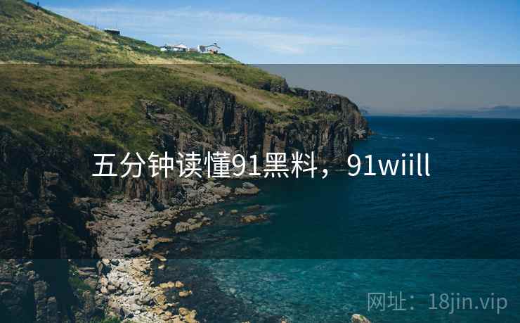 五分钟读懂91黑料，91wiill