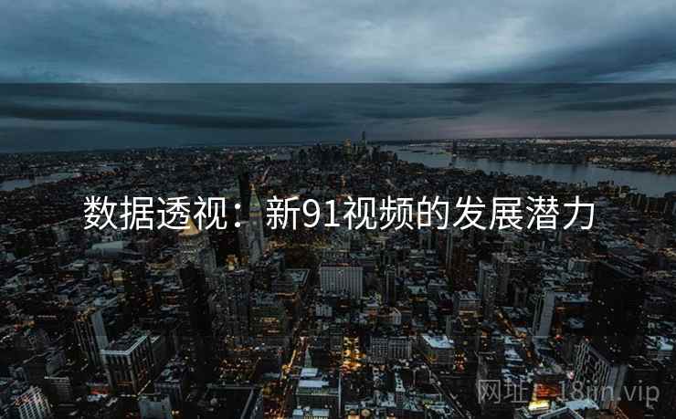 数据透视：新91视频的发展潜力