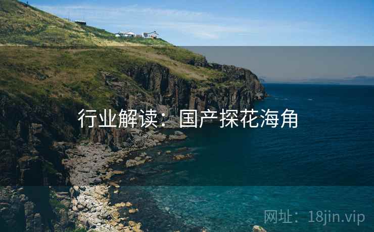 行业解读：国产探花海角