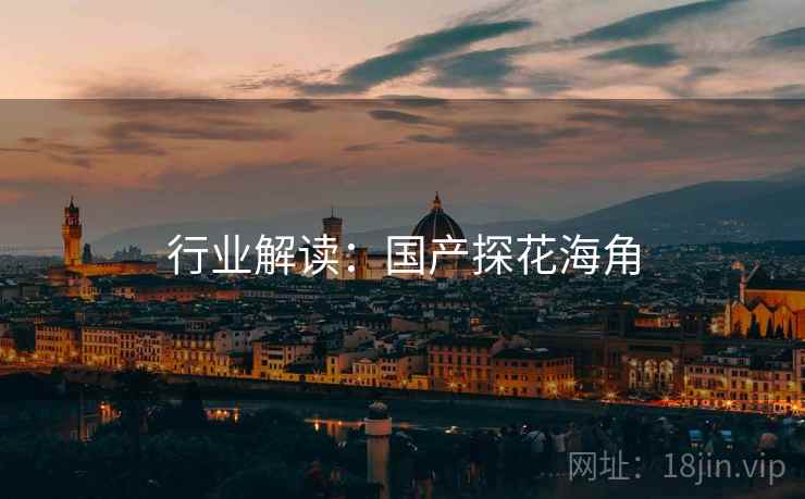 行业解读：国产探花海角