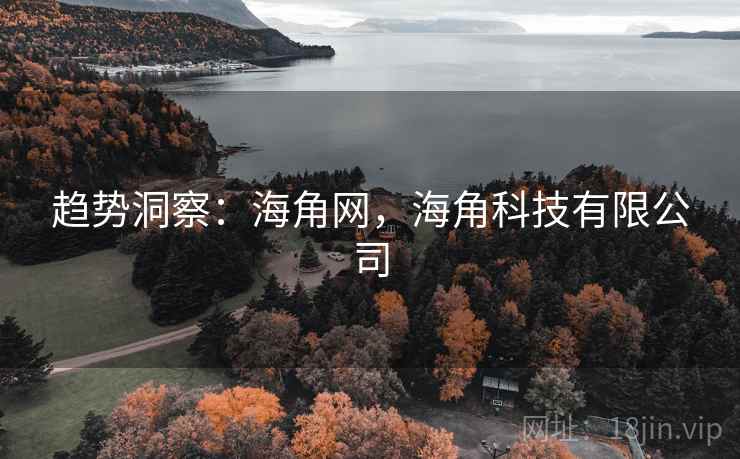 趋势洞察：海角网，海角科技有限公司