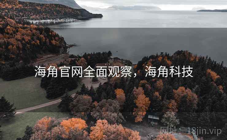 海角官网全面观察，海角科技