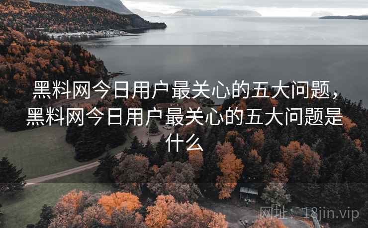 黑料网今日用户最关心的五大问题，黑料网今日用户最关心的五大问题是什么