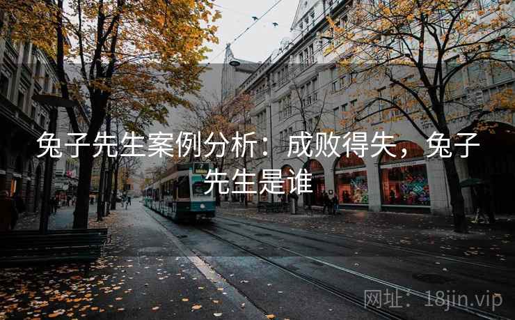 兔子先生案例分析：成败得失，兔子先生是谁