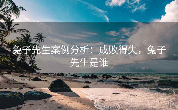 兔子先生案例分析：成败得失，兔子先生是谁